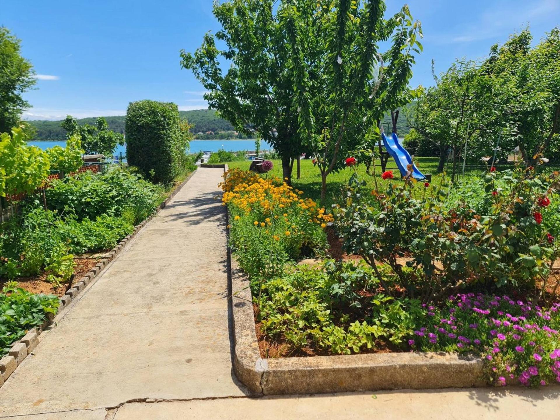 Apartments Citkovic Чизичі Екстер'єр фото